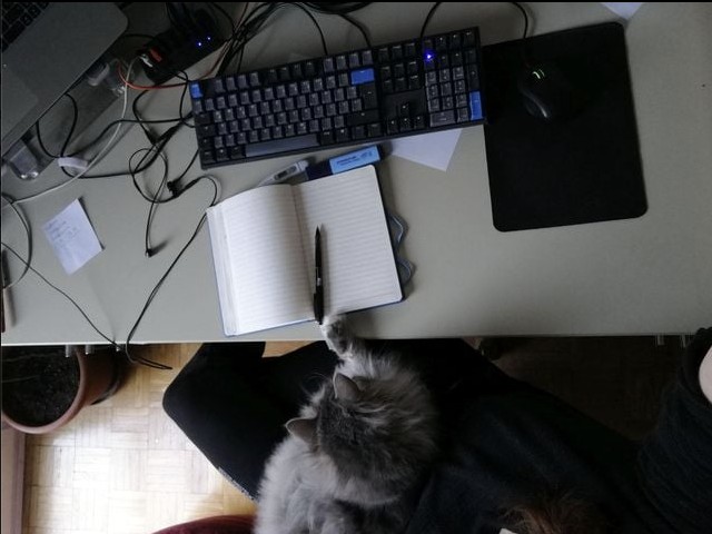 eika image